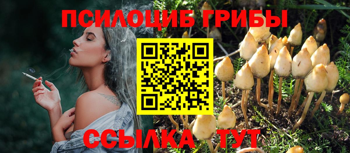 Реж  Псилоцибиновые грибы MAGIC MUSHROOMS  Вход с VPN 
